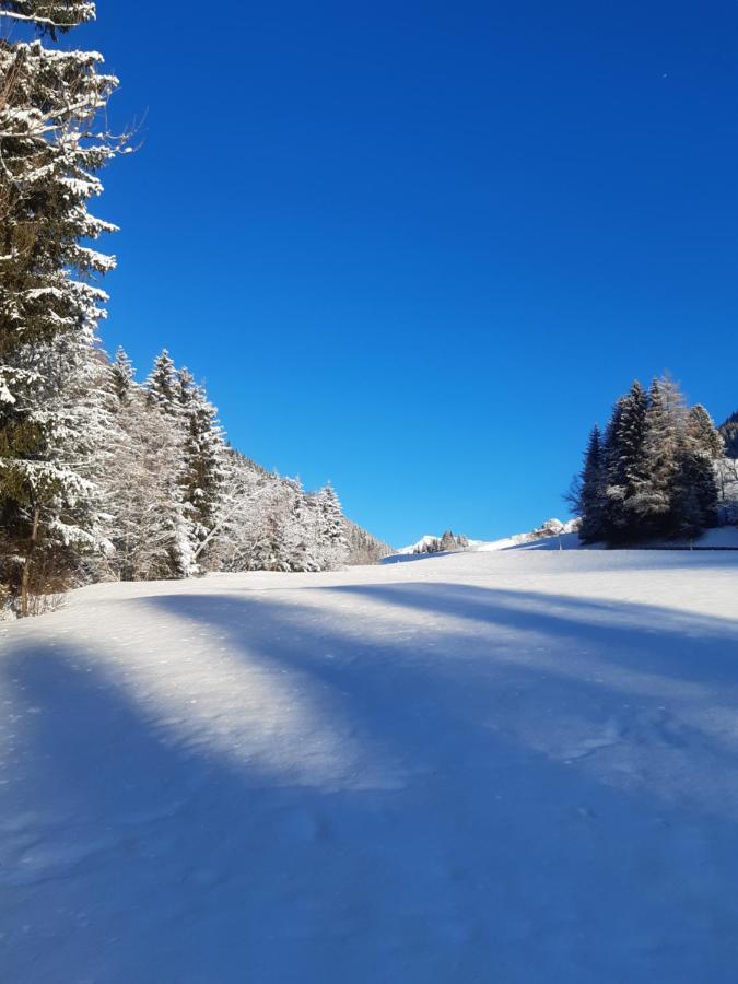 Bed & Breakfast Dolomiti Bey Haus Pinter Assling Exterior foto