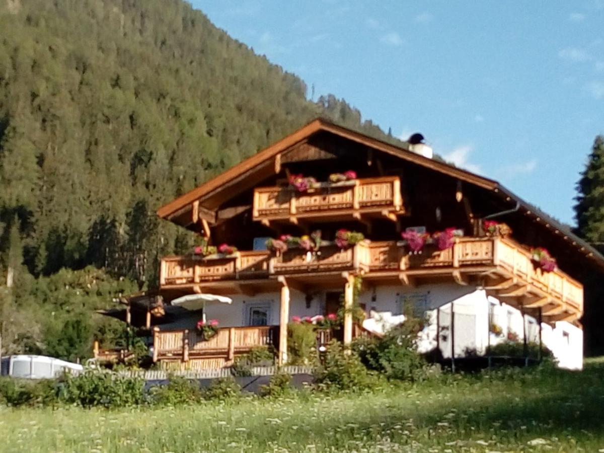 Bed & Breakfast Dolomiti Bey Haus Pinter Assling Exterior foto