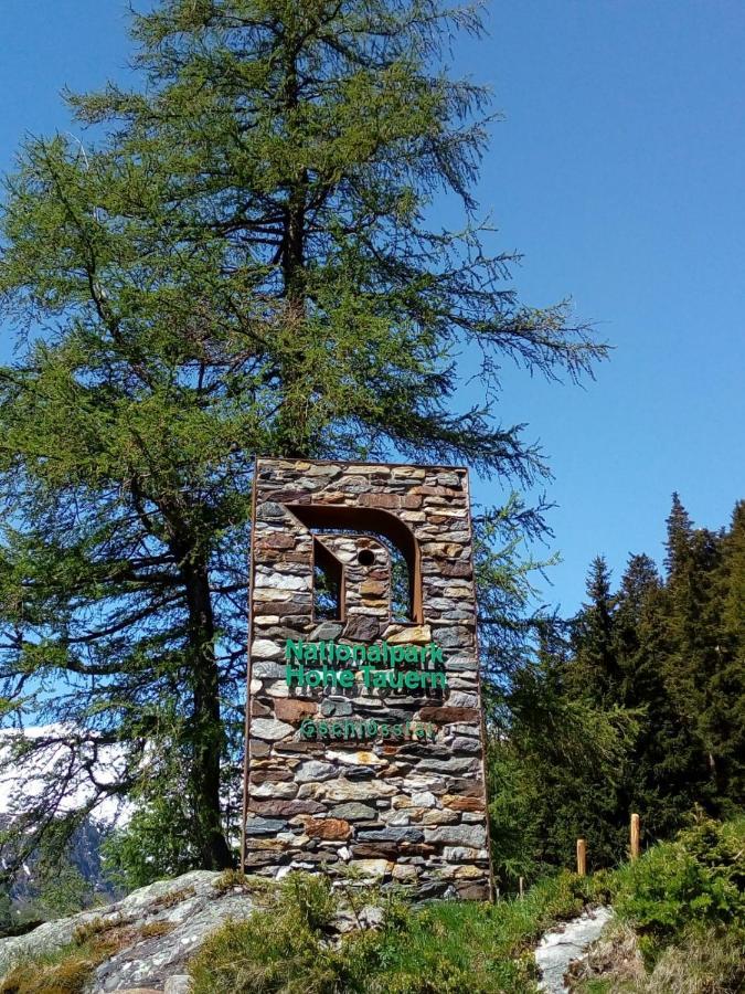 Bed & Breakfast Dolomiti Bey Haus Pinter Assling Exterior foto