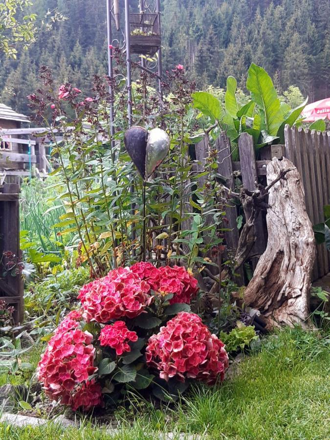 Bed & Breakfast Dolomiti Bey Haus Pinter Assling Exterior foto