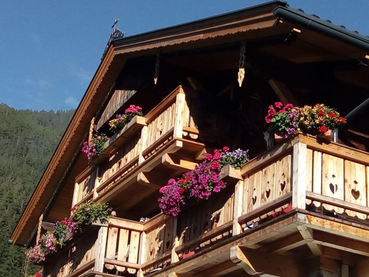 Bed & Breakfast Dolomiti Bey Haus Pinter Assling Exterior foto