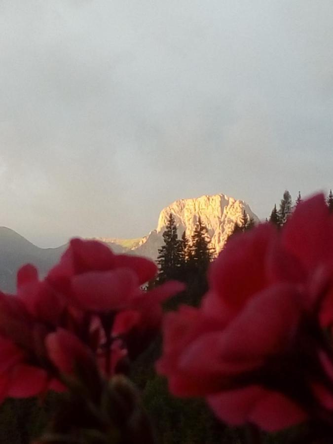 Bed & Breakfast Dolomiti Bey Haus Pinter Assling Exterior foto