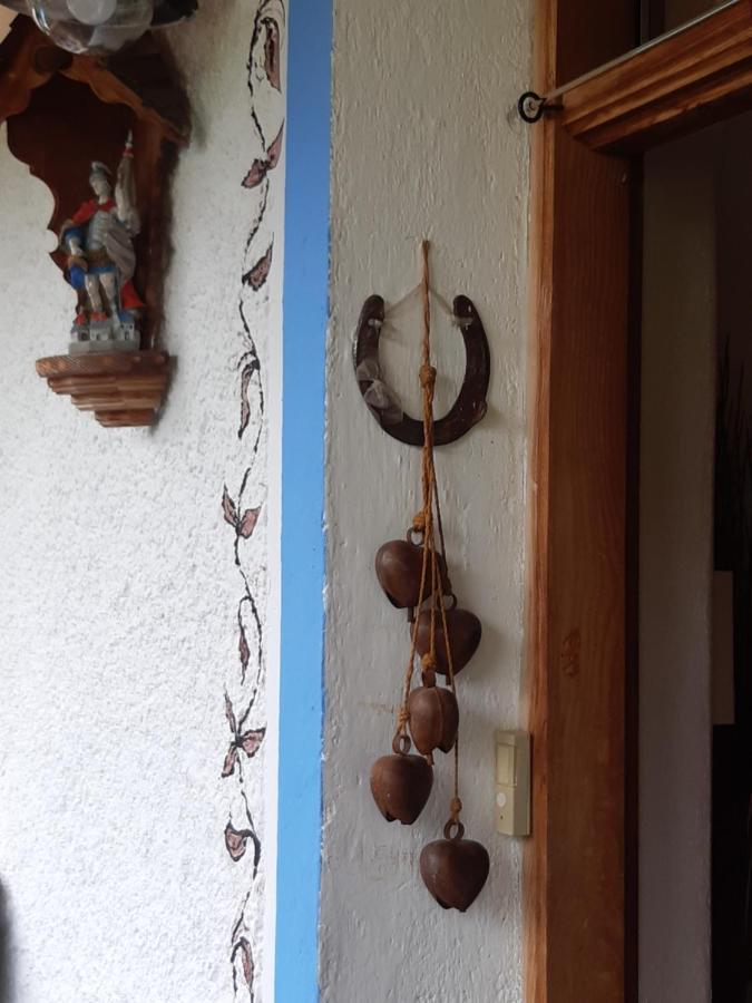 Bed & Breakfast Dolomiti Bey Haus Pinter Assling Exterior foto