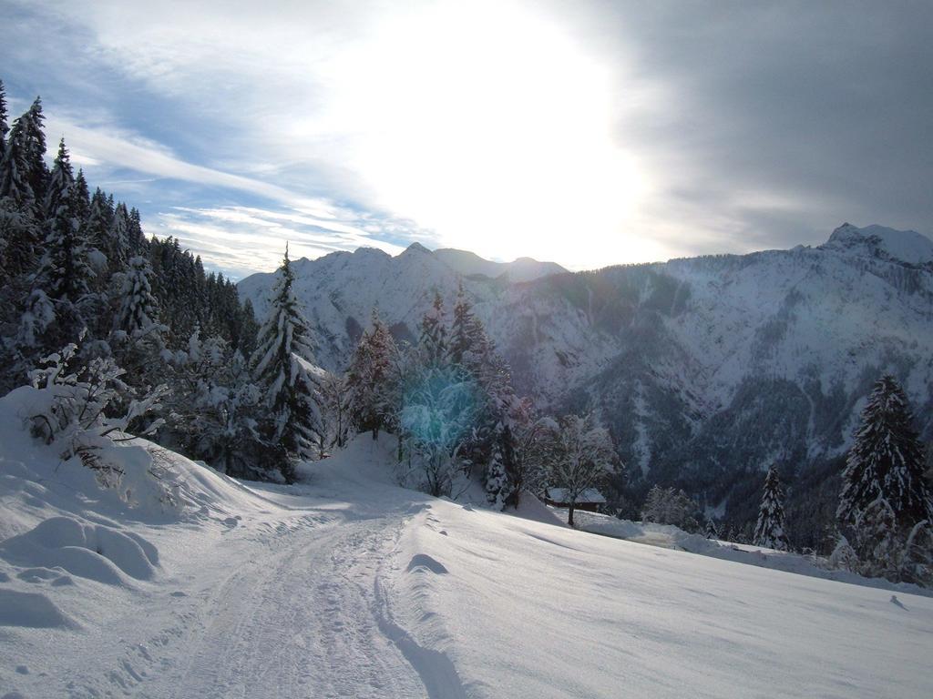 Bed & Breakfast Dolomiti Bey Haus Pinter Assling Exterior foto