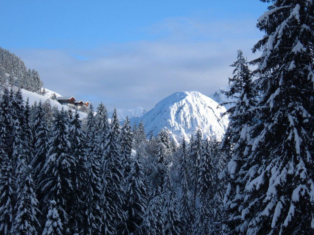 Bed & Breakfast Dolomiti Bey Haus Pinter Assling Exterior foto