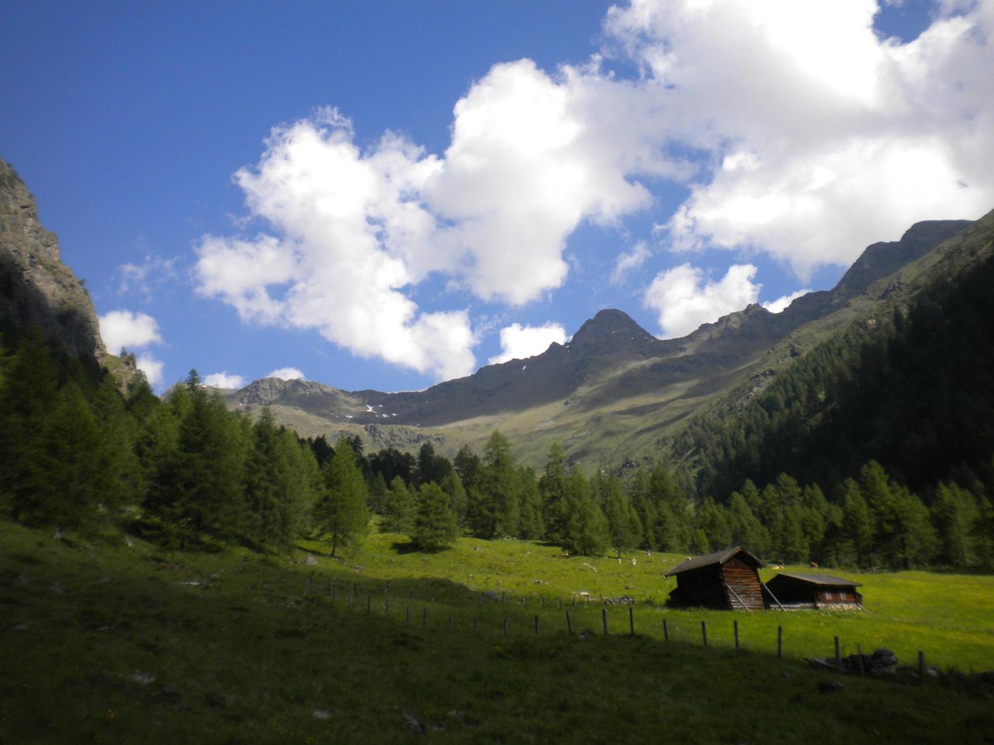 Bed & Breakfast Dolomiti Bey Haus Pinter Assling Exterior foto