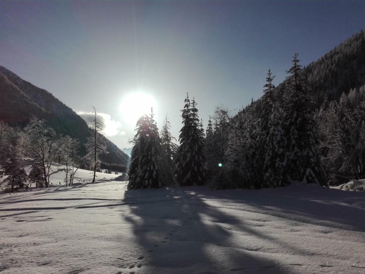 Bed & Breakfast Dolomiti Bey Haus Pinter Assling Exterior foto